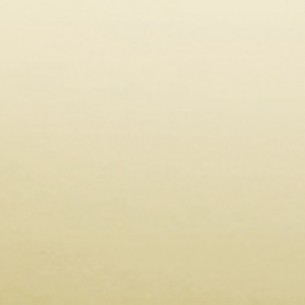 Външен ъгъл за плочки PVC 9мм Salag 170 злато 2.5м | цена за 1бр