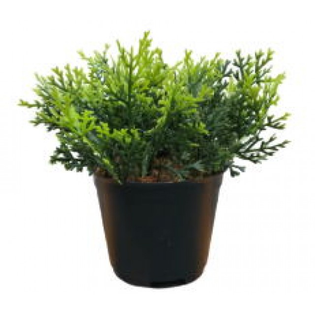 Изкуствен бонсай My Garden KD07152, 16 см  | цена за 1бр