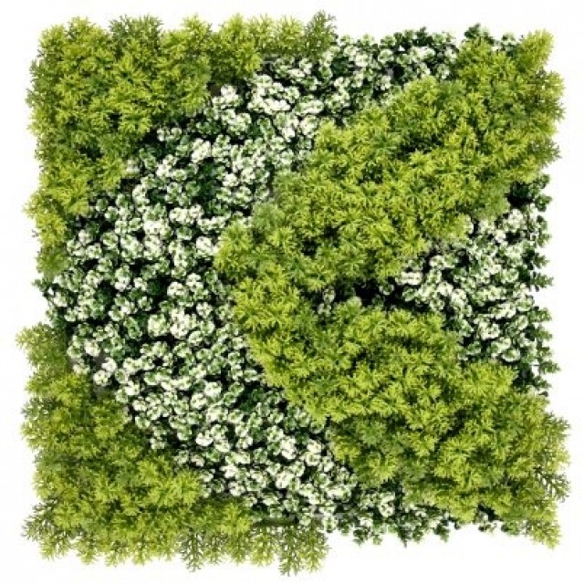 Пано 50х50см изкуствена зелена декорация My Garden Reflection CCGA232 | цена за 1бр