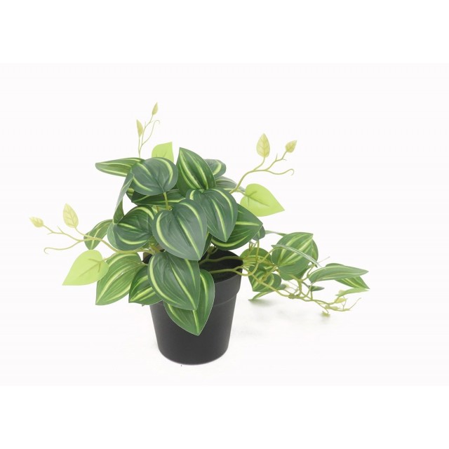 Изкуствено цвете My Garden Scindapsus aureus, Пластмасова саксия | цена за 1бр