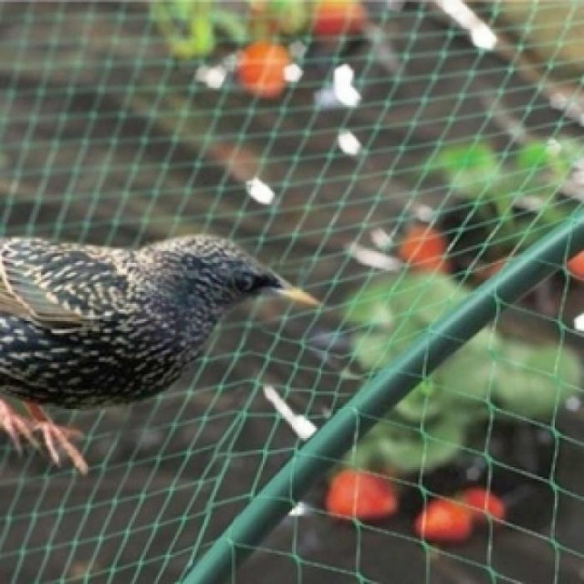 Мрежа срещу птици My Garden, 40гр / м2, 3 х 90 м  | цена за 1руло