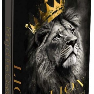 Интериорни Дървени кутии за съхранение на книги, Lion, L-240617-10-2, Сет от 2бр. | цена за 1бр