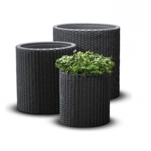 Саксии, трева, мрежа, украшения