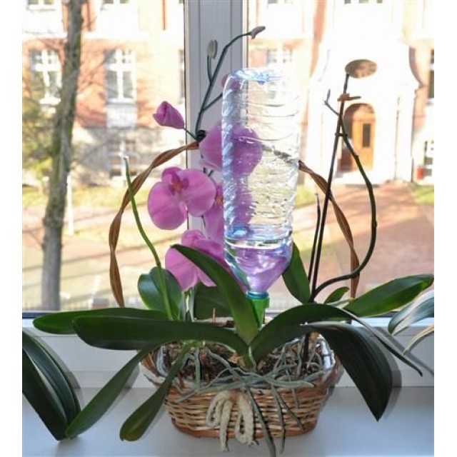 Напоител за саксии за цветя