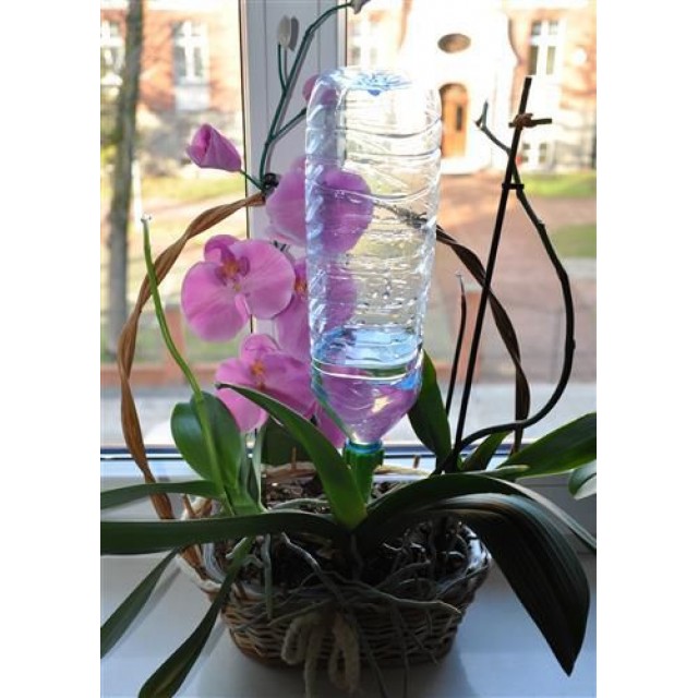 Напоител за саксии за цветя