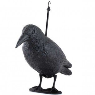 Отблъскващ птици - гарван