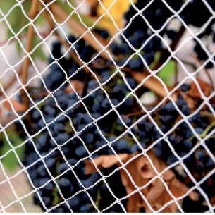 Мрежа срещу птици 20г/м² - 5х100м | цена за 1руло Мрежа срещу птици 20г/м² - 5х100м | цена за 1руло