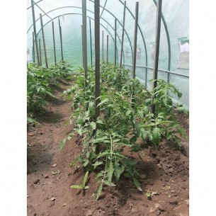 Оранжерия Д.6м/ В.2м/ Ш.3м. Тунелна Оранжерия Д.6м/ В.2м/ Ш.3м. Тунелна