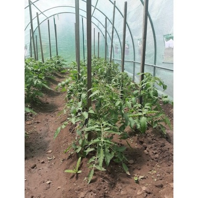 Оранжерия Д.6м/ В.2м/ Ш.3м. Тунелна